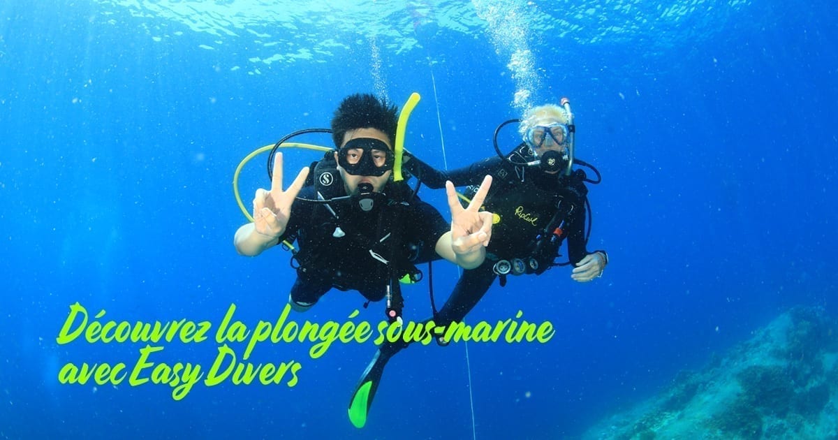 Découvrez la plongée sous-marine avec Easy Divers