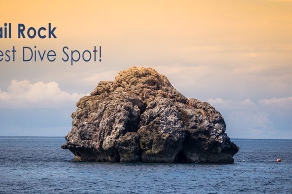 Sail Rock - The Best Dive Spot