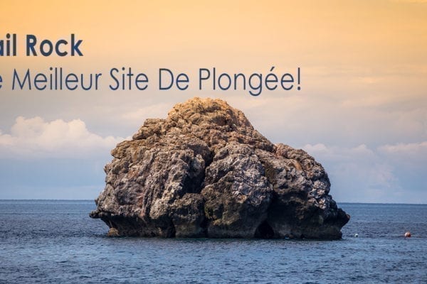 Sail Rock - le meilleur site de plongée