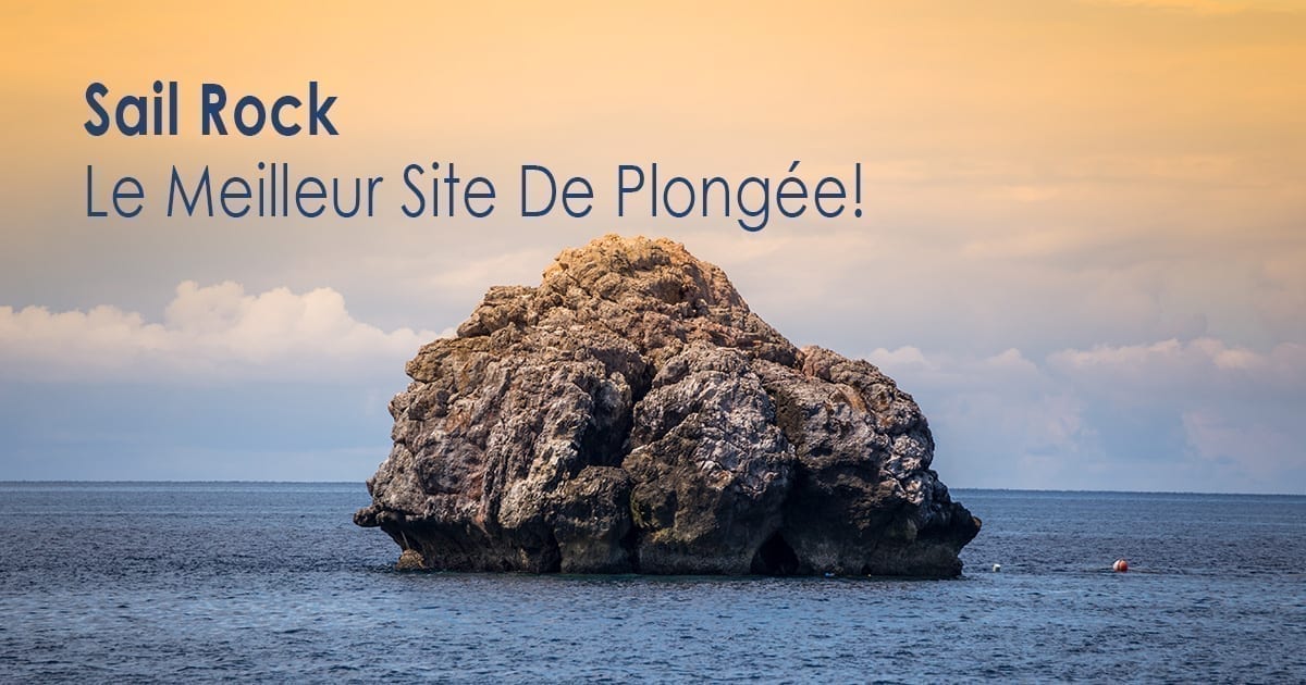 Sail Rock - le meilleur site de plongée