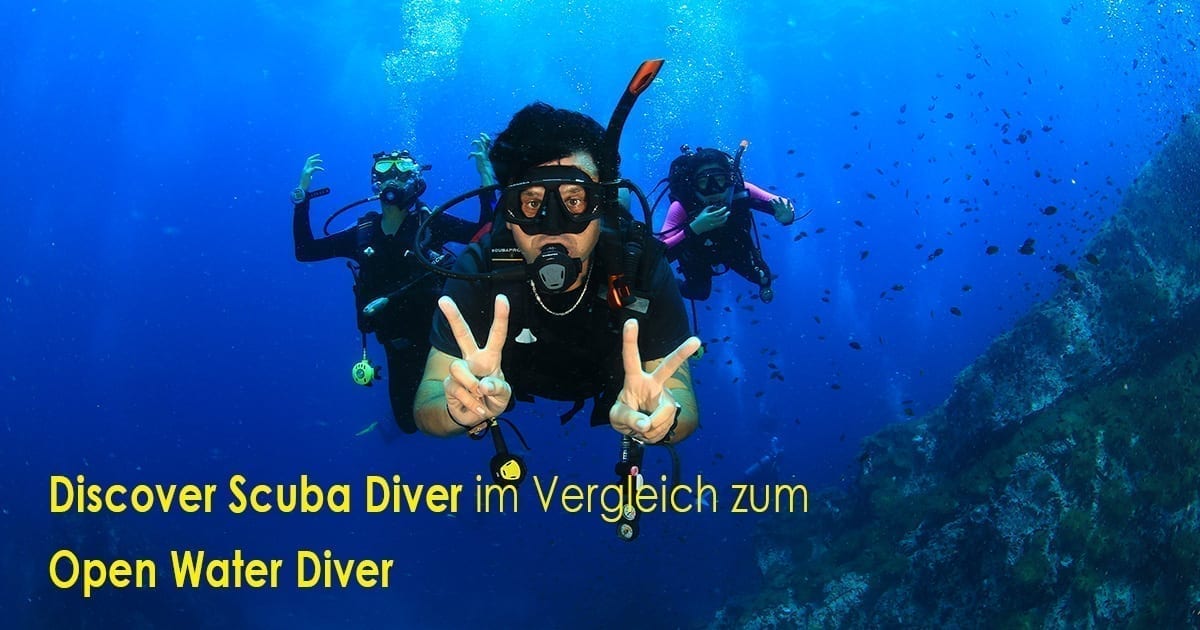 Discover Scuba Diver im Vergleich zum Open Water Diver