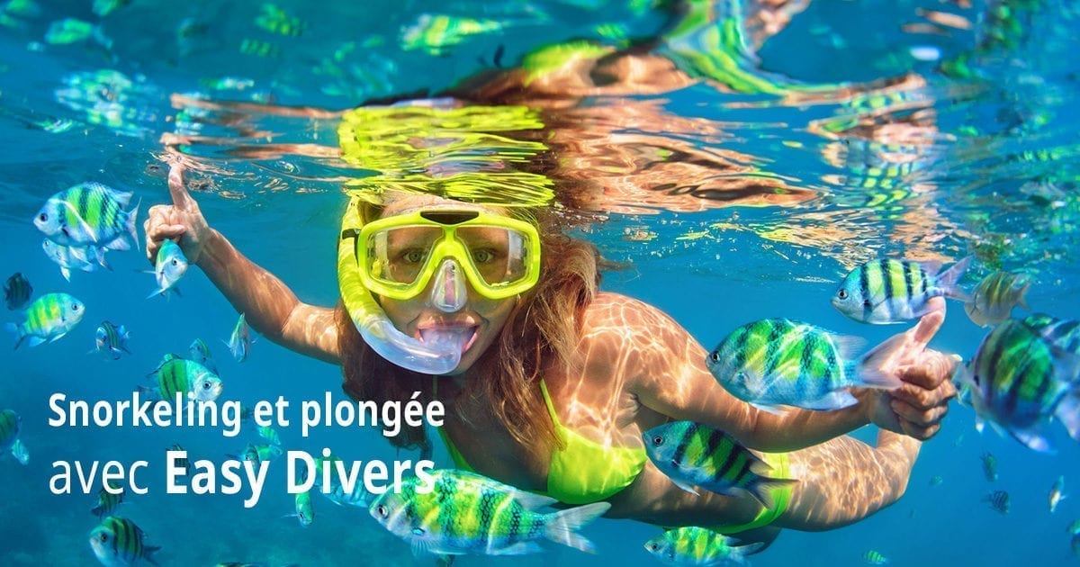 Snorkeling et plongee avec Easy Divers