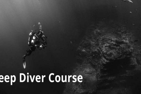 Deep Diver Course