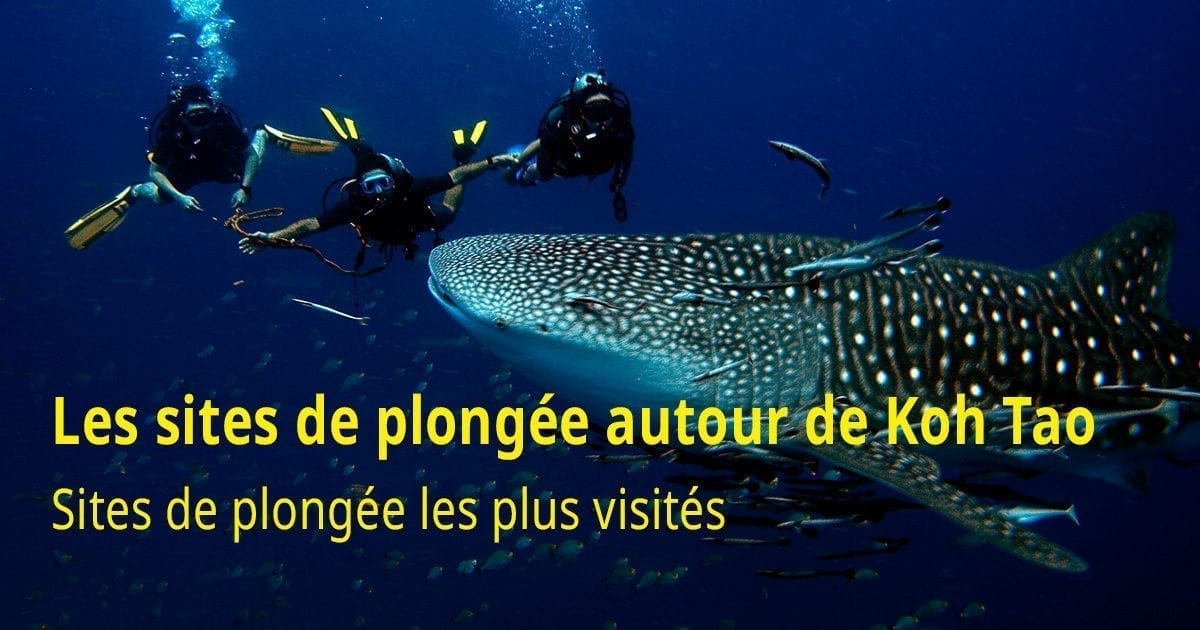 Les sites de plongée autour de Koh Tao