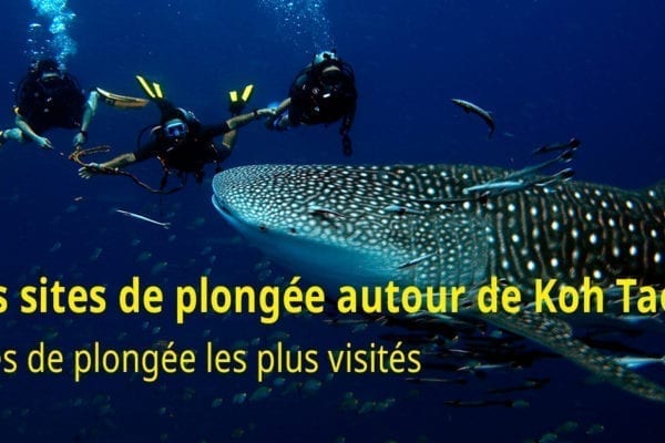 Les sites de plongée autour de Koh Tao