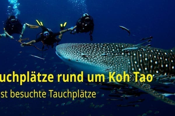 Tauchplätze rund um Koh Tao