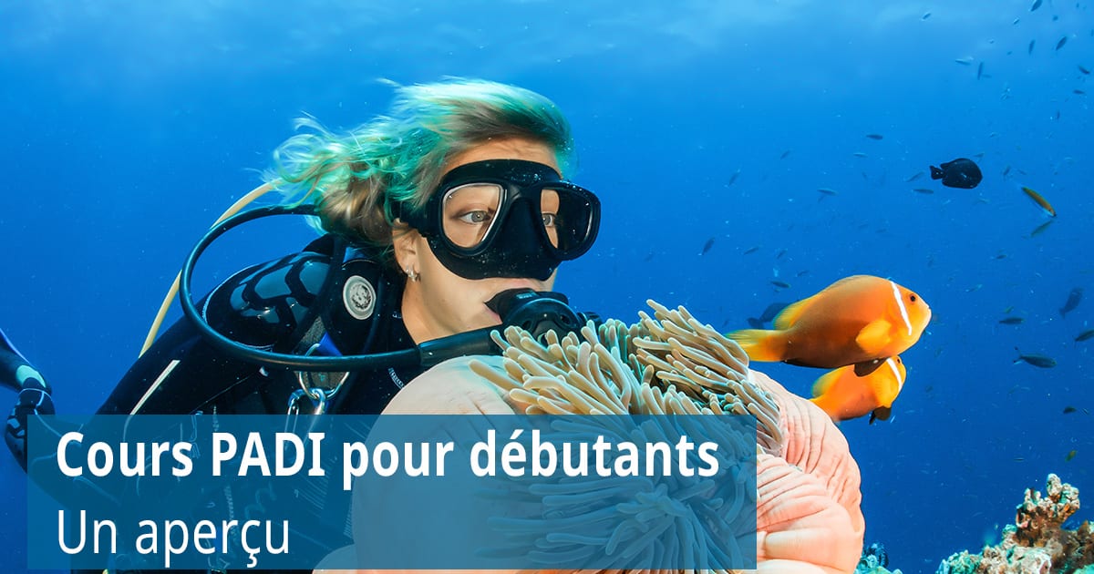 Cours PADI pour débutants