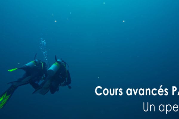 Cours avancés PADI, Un aperçu