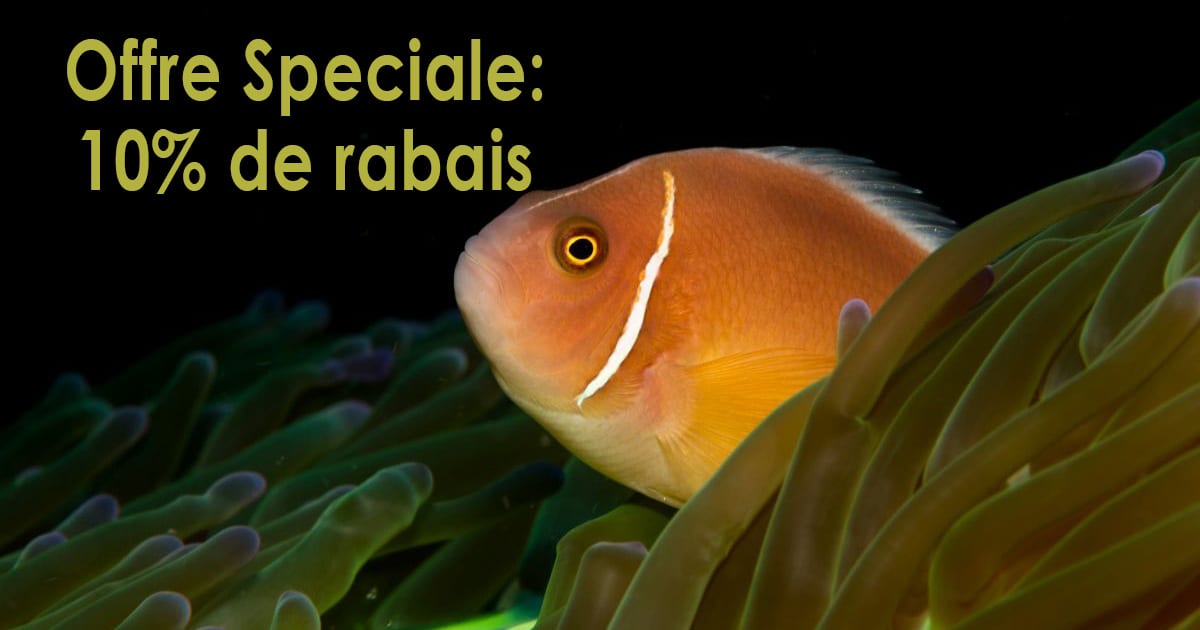 Offre speciale 10% de rabais