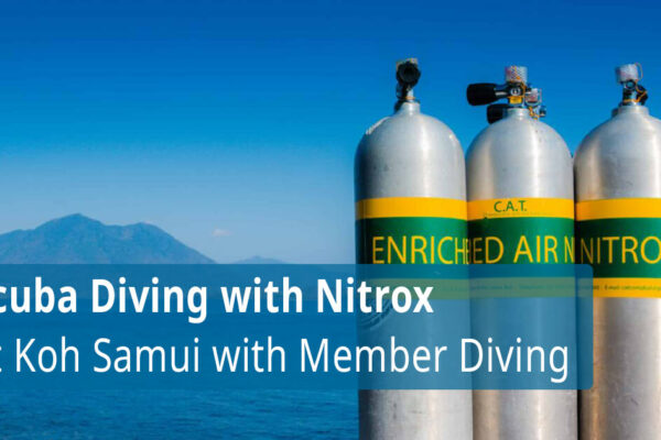 Scuba Diving with Nitrox at Koh Samui with Member Diving