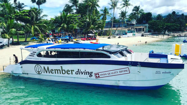 Diving Courses, Dive Tours with Easy Divers, Koh Samui, Thailand