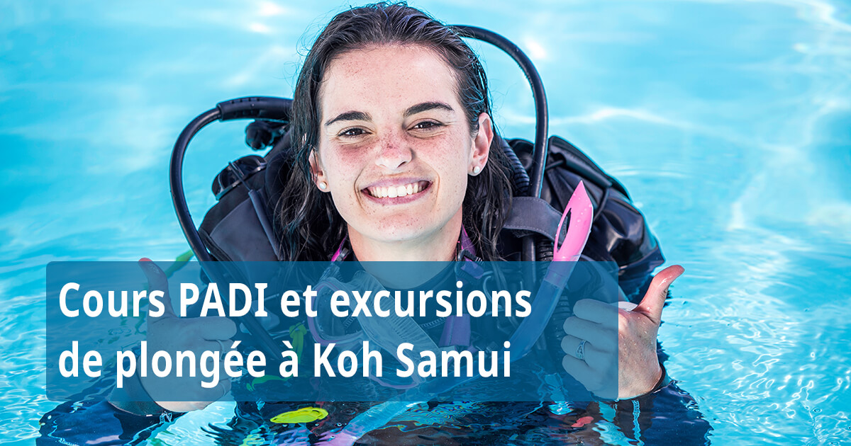 Samui Easy Divers - Cours PADI et excursions de plongée à Koh Samui