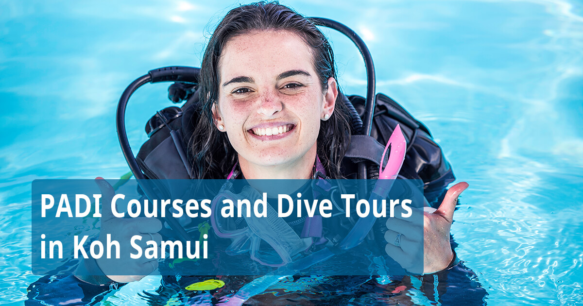 Samui Easy Divers - PADI Courses and Dive Tours in Koh Samui